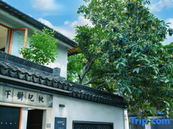 Loquat tree hostel