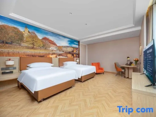 Standard Twin room with city view