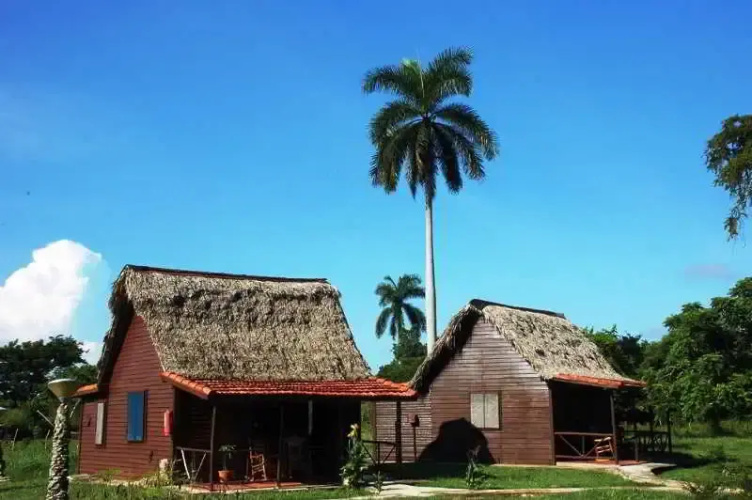 Batey Don Pedro