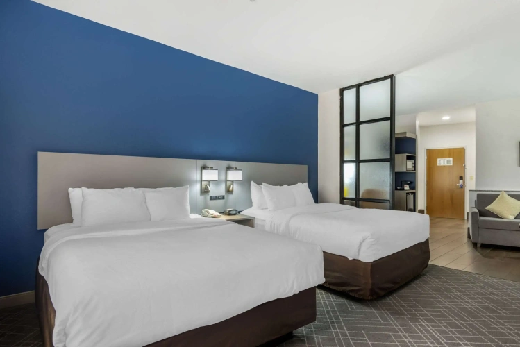 Quadruple Suite
