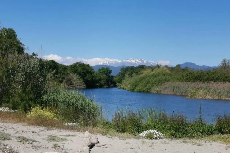 MARINE DE Bravone pieds dans l'eau