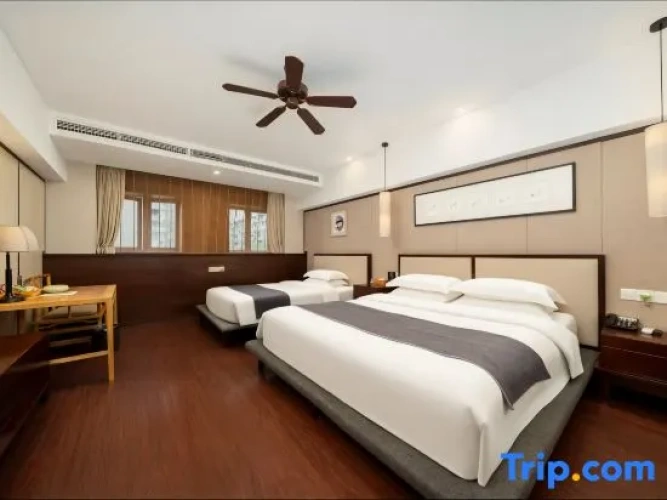 Comfort Twin Family room