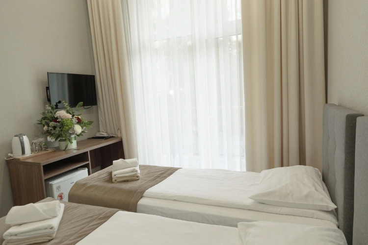 Standard Double room with balcony and with mountain view