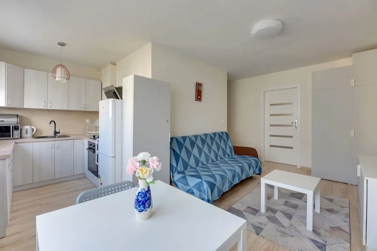 Classic Apartment