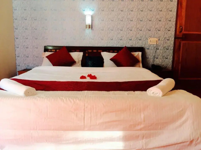 Hotel Alpine Manali