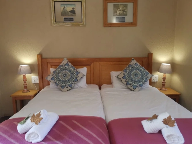 Classic Twin room with balcony and with garden view