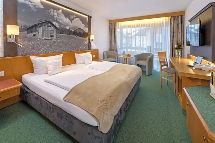 Standard Double room with balcony and with view