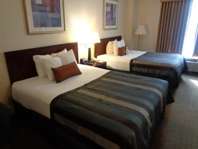 Business Quadruple room