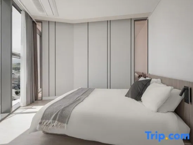 Standard Penthouse room