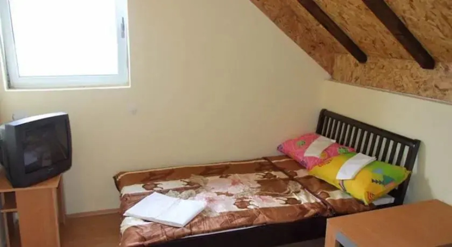 Arena Guesthouse