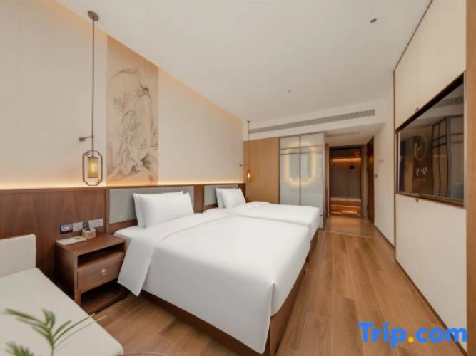 Standard Twin room with city view