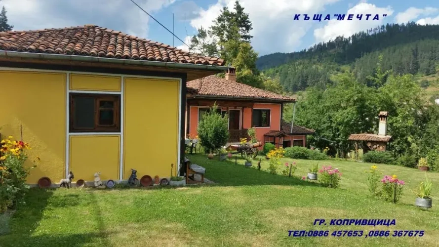 Standard Double room with view