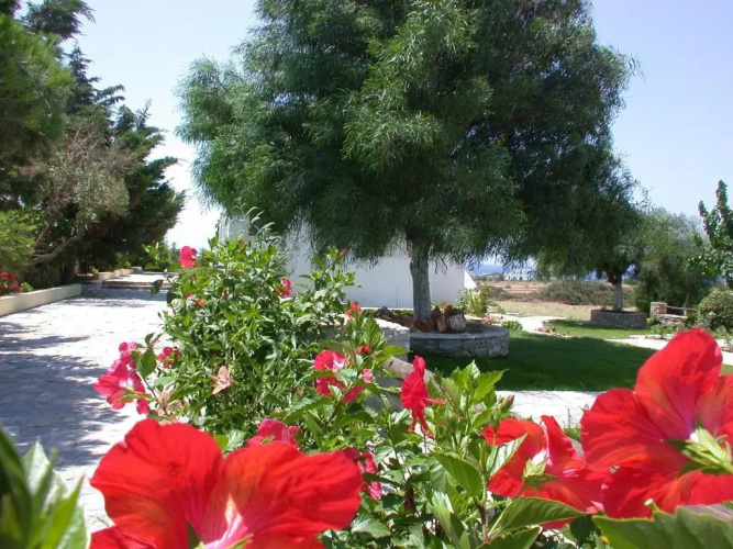 Scala Apartments