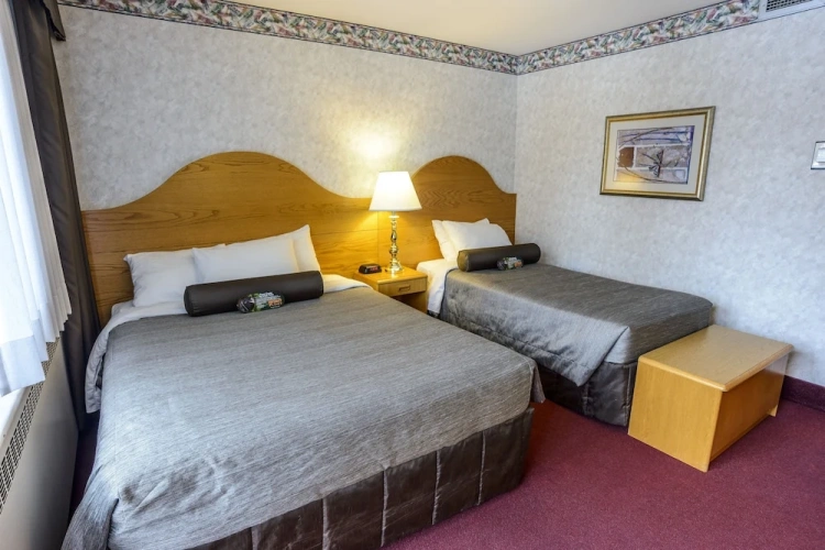 Standard room with river view