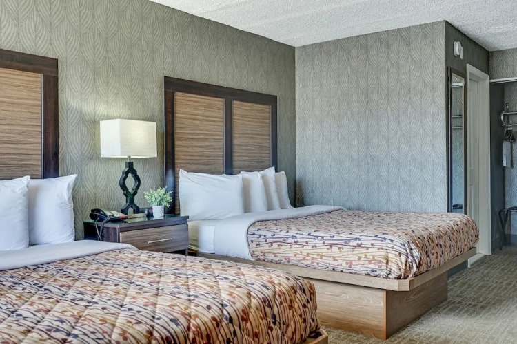 Classic Quadruple room