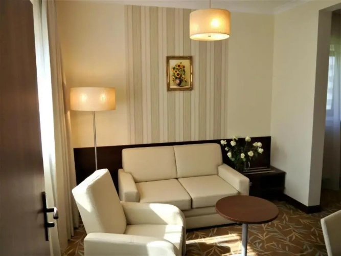Business Double room