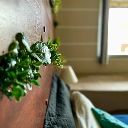 1 Bedroom Deluxe Suite