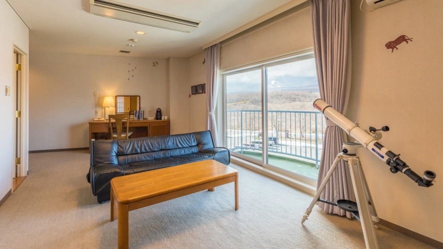 Deluxe Twin room with balcony and with mountain view