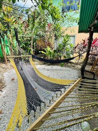 Surf Paradise