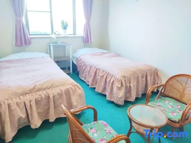Standard Twin room with ocean view
