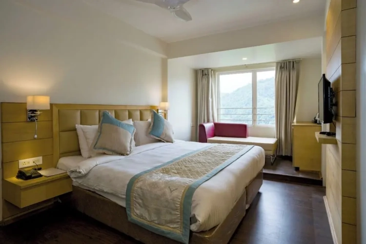 Deluxe Double room with view