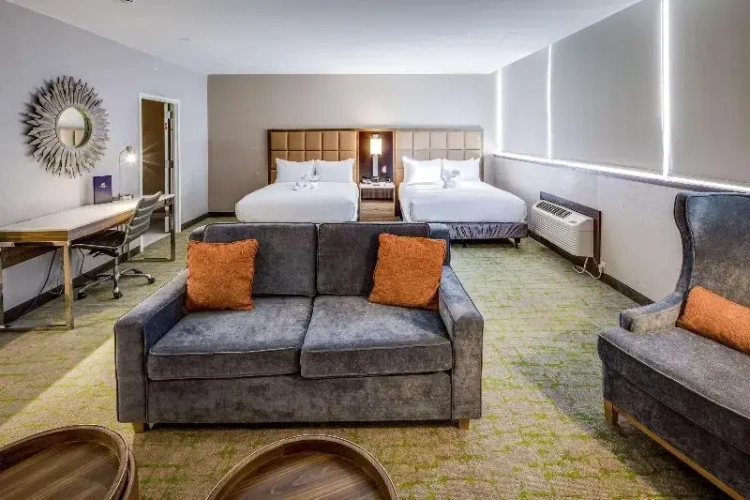 Standard Single room with view