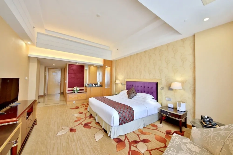 Deluxe Double room with city view