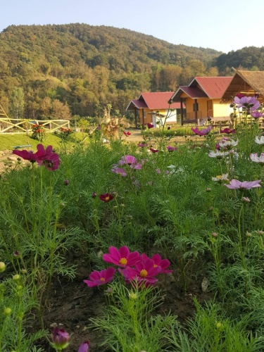 1 Bedroom Standard Twin room with mountain view