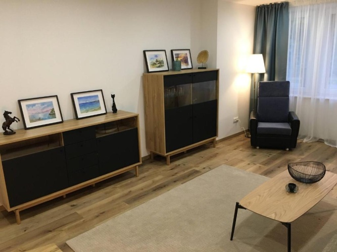 1 Bedroom Apartment