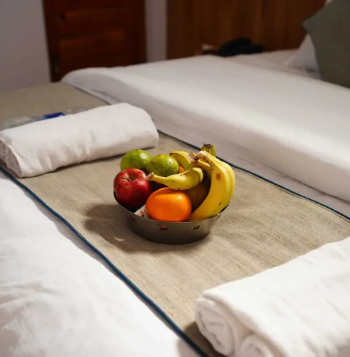 Hotel Sparrow Dharamshala