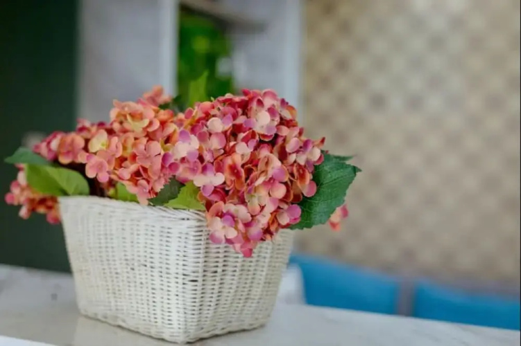 Royal Garden Apartment