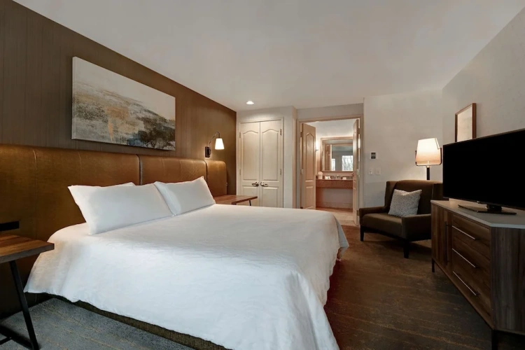 Double Suite with balcony and with river view