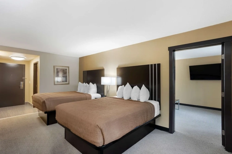 Twin Suite