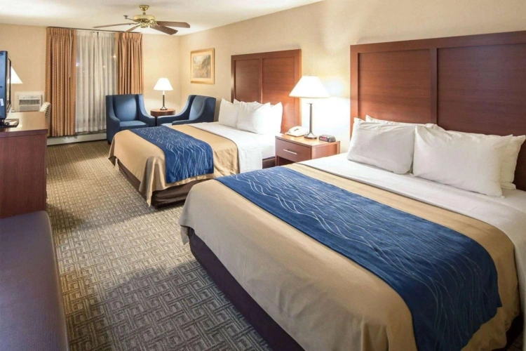 Guest rooms