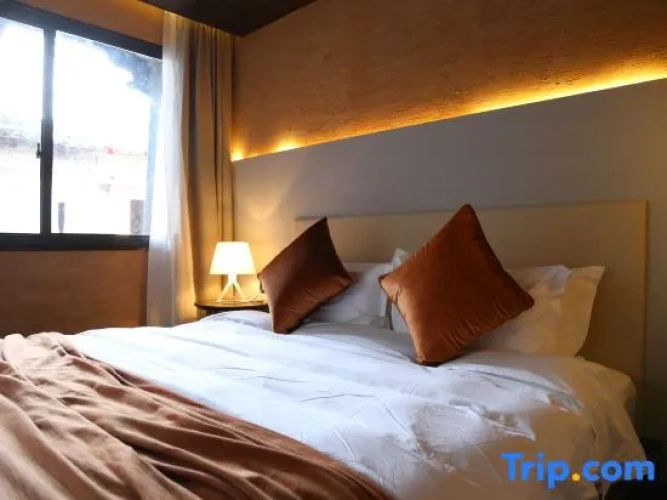 Standard Double room with courtyard view