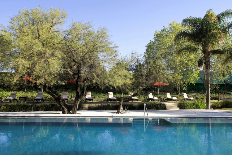 Marriott Aguascalientes photo 16