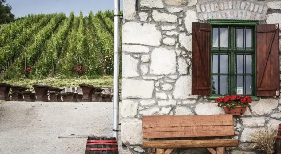 Bike & Wine Cottage