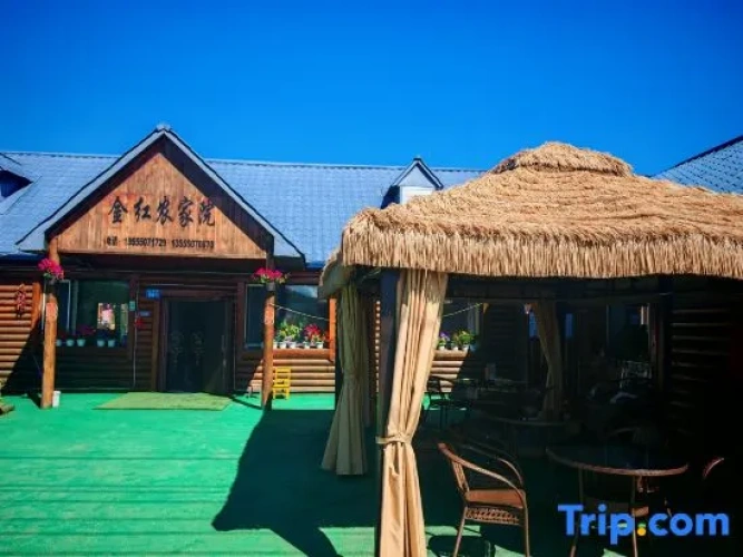 Mohe Jinhong Snow House Farm Stay