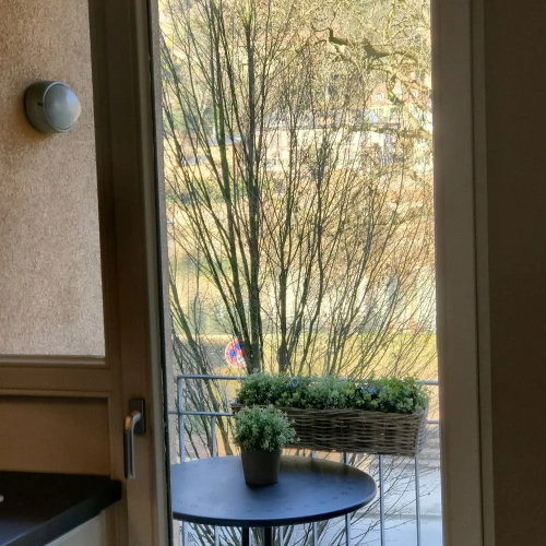 1 Bedroom Classic Double room with balcony and with river view