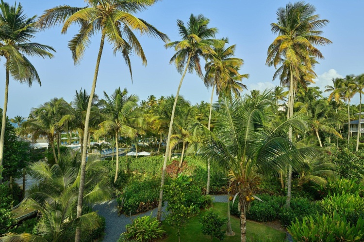 Deluxe Double room with garden view