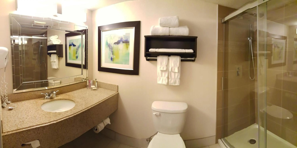 Holiday Inn & Suites Syracuse Airport - Liverpool photo 10