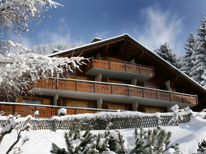 Sapin Bleu 5