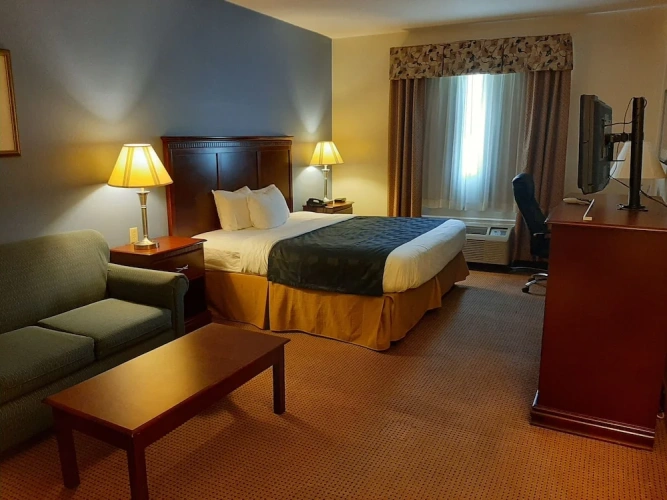 Comfort Single room
