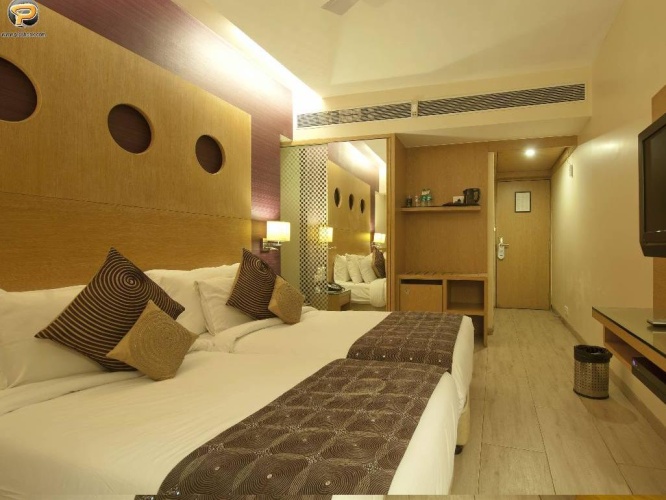 Single Suite