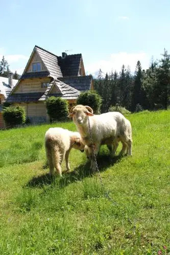 Domek Pod Jeziorem
