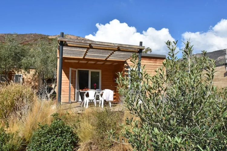 Premium Bungalow