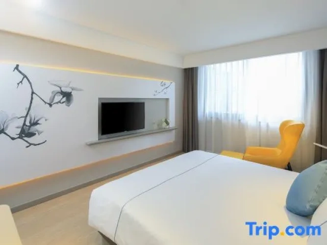 1 Bedroom Standard Suite