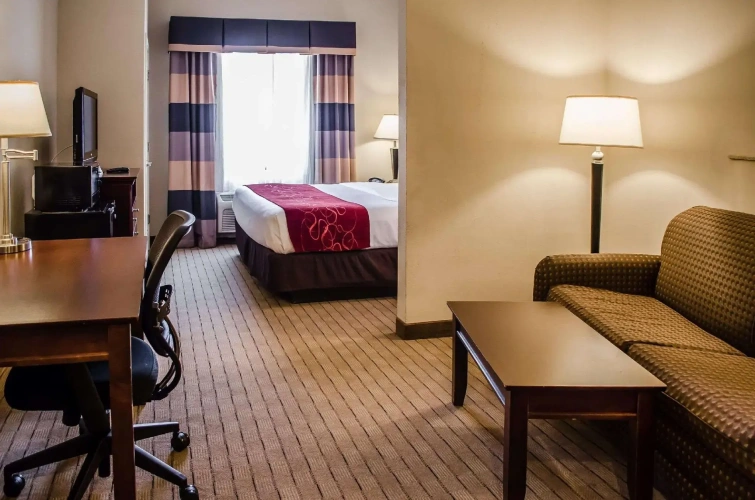1 Bedroom Suite