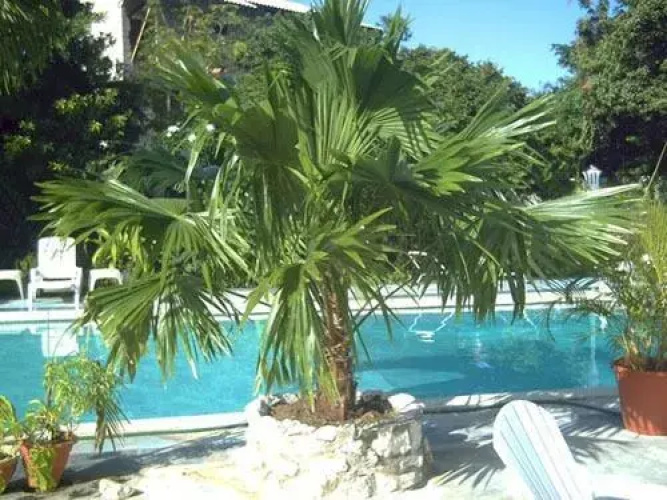 Rian Apartements