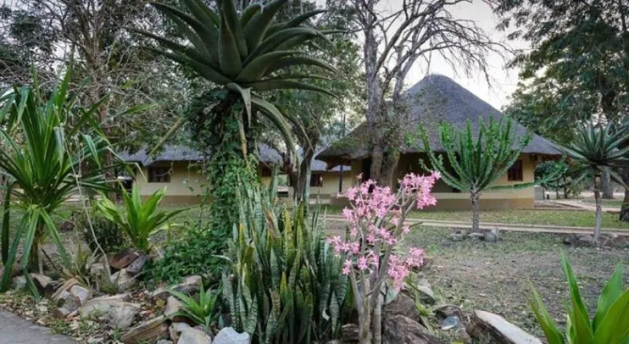 Standard Double room with garden view